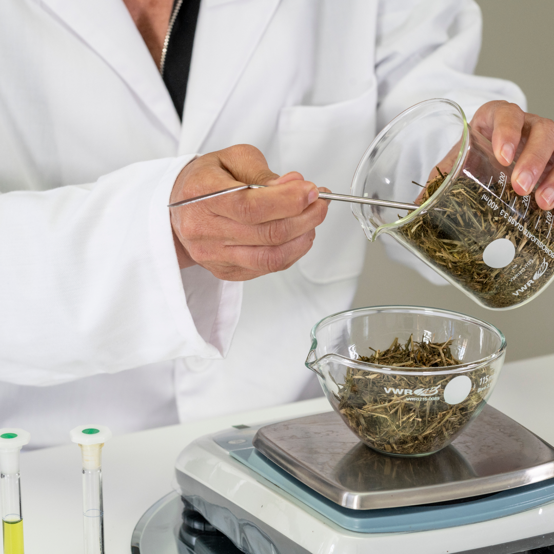 AD_IG-FB_NATURALITY-OAT EXPERTISE_QUALITY OF REHALBA OAT SEEDLING EXTRACT_POST_2021